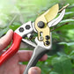 🌳Versatile SK5 Sharp Durable Heavy-Duty Pruning Shears