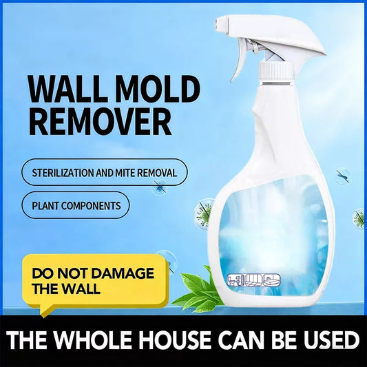 🔥Promotion 2026🔥 Spray anti-moisissure haute efficacité — Empêche la réapparition des moisissures