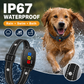 🐶 Collier anti‑aboiement intelligent pour chiens 🛡️ Réglable, sans douleur, contrôle efficace des aboiements ⚡‑50% DE RÉDUCTION ! Pour votre compagnon ✨