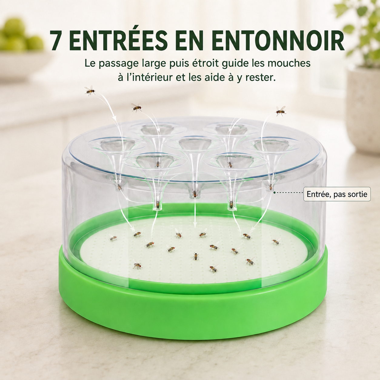 🌿💚 Piège à moucherons sans énergie, lavable et réutilisable ✅