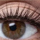 💦✨ Faux cils auto-adhésifs et imperméables - Sans colle, ils agrandissent facilement votre regard 👁️