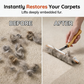 🐶Outil anti‑poils d’animaux à manche long ✨Grattage efficace tapis, moquettes et sièges auto 🧹
