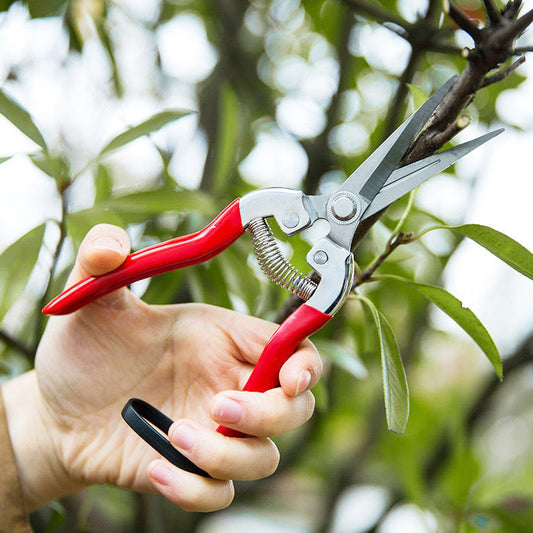 Ciseaux de jardinage multifonctionnels en acier inoxydable