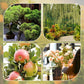 Ciseaux de jardinage multifonctionnels en acier inoxydable