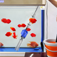 Changeur d'eau et Nettoyeur de Filtre d'Aquarium à Aspiration Électrique 🐠🔧 - Facilitez l'Entretien de Votre Aquariophilie!