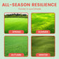 🌿🌿Graines d'herbe pour pelouses et terrains de golf🌿🌿