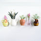 🏺✨ Aimant de réfrigérateur céramique mini vase 2026 UPGRADE | Déco mignonne & Qualité supérieure