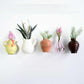 🏺✨ Aimant de réfrigérateur céramique mini vase 2026 UPGRADE | Déco mignonne & Qualité supérieure