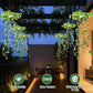 🌿 50% DE RÉDUCTION ☀️ Lampe suspendue solaire en herbe de Milan – Éclairage d'ambiance autonome & décoration extérieure – Naturelle, sans câble & parfaite pour jardin, balcon ou terrasse 🌙