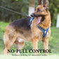 📢📢50 % DE RÉDUCTION !! ⏰Harnais anti-traction pour chien avec laisse et collier à LED