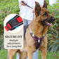 📢📢50 % DE RÉDUCTION !! ⏰Harnais anti-traction pour chien avec laisse et collier à LED