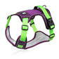 📢📢50 % DE RÉDUCTION !! ⏰Harnais anti-traction pour chien avec laisse et collier à LED