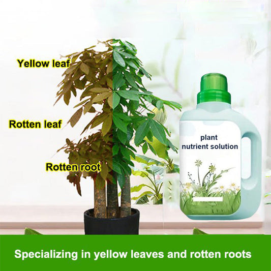Solution nutritive universelle pour plantes | Racines fortes, sol sain, croissance améliorée