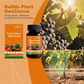 Engrais pour plantes fruitières et à baies