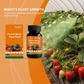 Engrais pour plantes fruitières et à baies