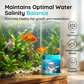 🐠🧼 Pastilles de purification d'eau haute efficacité pour un entretien facile de l'aquarium ✅