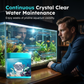 🐠🧼 Pastilles de purification d'eau haute efficacité pour un entretien facile de l'aquarium ✅