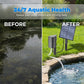 ☀️🐟 PROMO FLASH 50% ! Aérateur Solaire pour Bassin avec Pompe à Air – Kit Complet, Installation Facile, Santé Aquatique 24/7 ✨