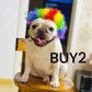 🐶🎉 PROMO Perruque festive pour chien déguisement fête cosplay ajustable confortable ✨