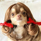 🐶🎉 PROMO Perruque festive pour chien déguisement fête cosplay ajustable confortable ✨