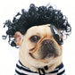 🐶🎉 PROMO Perruque festive pour chien déguisement fête cosplay ajustable confortable ✨