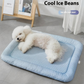 ☀️🐶 PROMO Tapis rafraîchissant respirant pour animaux fraîcheur été anti-chaleur ✨