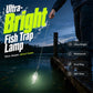 🐟Lampe « piège à poissons » ultra-lumineuse