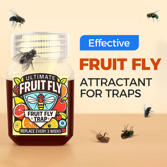 ✨ Promotion à durée limitée : 50 % de réduction ✨ Appât efficace contre les mouches des fruits pour pièges