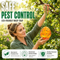 🪆🌳 Piège à guêpes écologique extérieur sans toxique, capture efficacement les insectes pour jardin et terrasse ✨