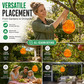 🪆🌳 Piège à guêpes écologique extérieur sans toxique, capture efficacement les insectes pour jardin et terrasse ✨