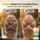 🐾🧴 Baume hydratant pour chiens et chats | Rends les pattes douces, soin protecteur et pratique pour votre compagnon animal✅