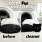 🧸🐾 Outil anti-poils pour animaux motif ours mignon, retire facilement les poils sur tissus, canapés et vêtements ✨