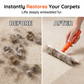 🐶Outil anti‑poils d’animaux à manche long ✨Grattage efficace tapis, moquettes et sièges auto 🧹