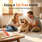 🐶Outil anti‑poils d’animaux à manche long ✨Grattage efficace tapis, moquettes et sièges auto 🧹