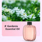 🔥‑50% PROMO🔥Diffuseur d’aromathérapie automatique 🎐Silencieux, diffusion régulière, ambiances parfumées chez vous ✨