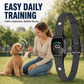 🐶 Collier anti‑aboiement intelligent pour chiens 🛡️ Réglable, sans douleur, contrôle efficace des aboiements ⚡‑50% DE RÉDUCTION ! Pour votre compagnon ✨