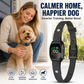 🐶 Collier anti‑aboiement intelligent pour chiens 🛡️ Réglable, sans douleur, contrôle efficace des aboiements ⚡‑50% DE RÉDUCTION ! Pour votre compagnon ✨