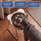 ✨‑50% OFF✨ Gamelle orthopédique inclinée 15° 🐱🐶 Moins de tension au cou, repas facile pour vos compagnons domestiques 💖