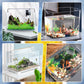 🔥‑50% Réduction ! Mini filtre multifonctionnel pour petit aquarium 🐠 Silencieux, nettoie l’eau, entretien facile pour vos poissons ✨