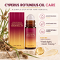 🔥PROMO -50%⏳ Roll-on après épilation 🌹 Soin apaisant 50ml, calme les irritations, douceur pour la peau ✨