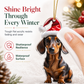 🎄-50% ! Ornement suspendu acrylique Teckel de Noël, design mignon, décoration sapin festive ✨