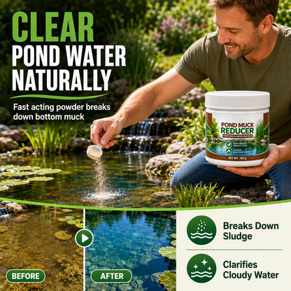 🔥 50% DE RÉDUCTION ! ✨Poudre clarifiante pour bassins à poissons et piscine