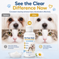 🎉 Offre à durée limitée : 49 % de réduction sur la crème anti-traces de larmes pour animaux 🐶🐱