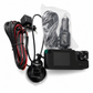🔥PROMO -50% ! Caméra de tableau de bord auto 3 canaux 1080P HD, enregistrement tout angle🚗📹