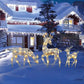 ⏳🔥 Offre limitée : -50 % ! ⏰Ensemble de rennes de Noël lumineux à LED avec nœuds, famille décorative pour l’intérieur et l’extérieur