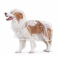 🔥-50% DE RÉDUCTION✨Imperméable transparent chien 🐶Avec capuche, tailles XS à 8XL, protège contre la pluie