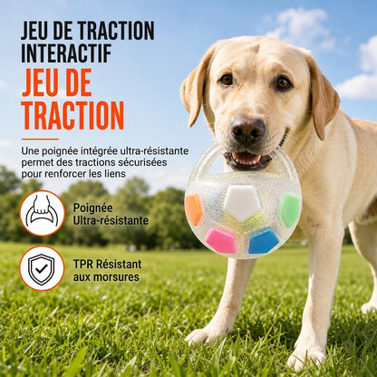 🔥-50% DE RÉDUCTION✨Balle foot interactive pour chien🐶Avec poignées, jeu de tir à la corde, exercice et amusement