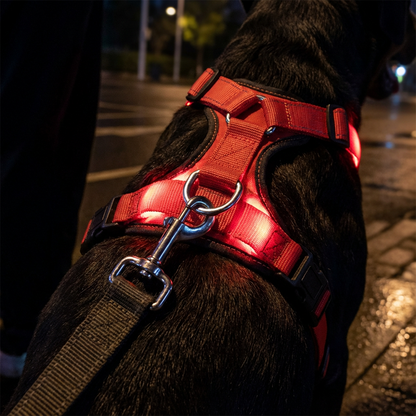 🔥⏰50% DE RÉDUCTION 🐶 Harnais LED lumineux pour chien, haute visibilité, sécurité maximale pendant les promenades de nuit ✨