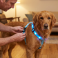 🔥⏰50% DE RÉDUCTION 🐶 Harnais LED lumineux pour chien, haute visibilité, sécurité maximale pendant les promenades de nuit ✨