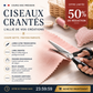 ✂️Ciseaux à bord zig‑zag en acier inoxydable ✨Poignée ergonomique, anti‑effilochage pour couture et bricolage 🧵